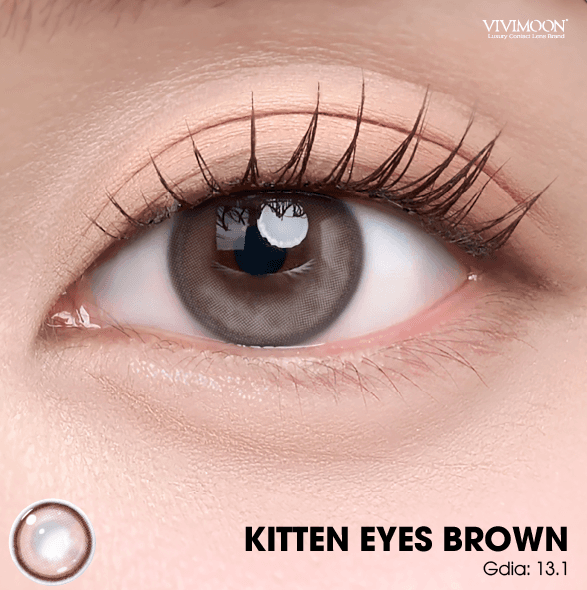 Kitten Eyes Brown - 1 Day