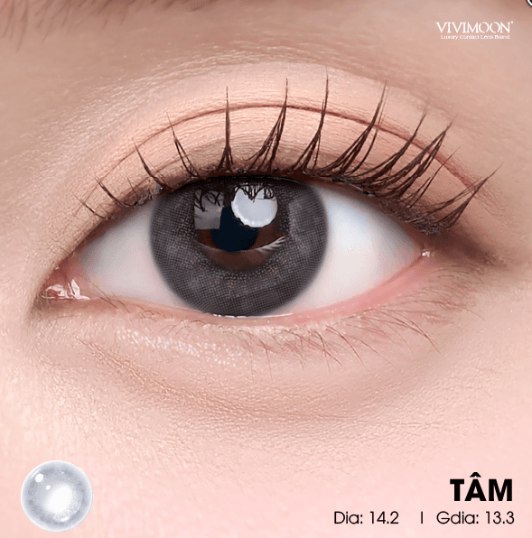 TÂM GRAY - Chuyển hóa tâm thức