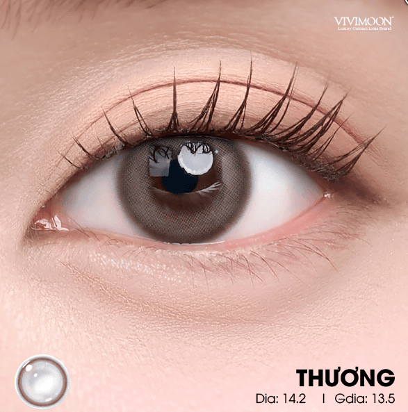 THƯƠNG BROWN - Lens nâu xám sữa nhẹ nhàng