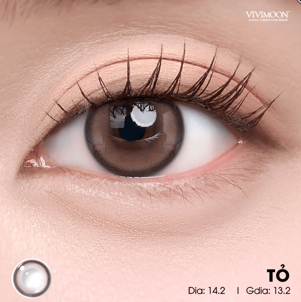TỎ BROWN - Hành Trình Lan Tỏa Giá Trị Biết Ơn