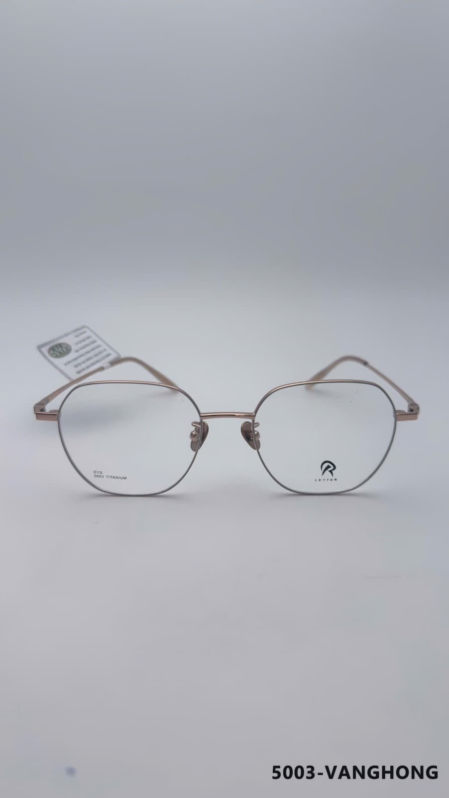 Gọng Đa giác Titan Vanghong (5003-VANGHONG)