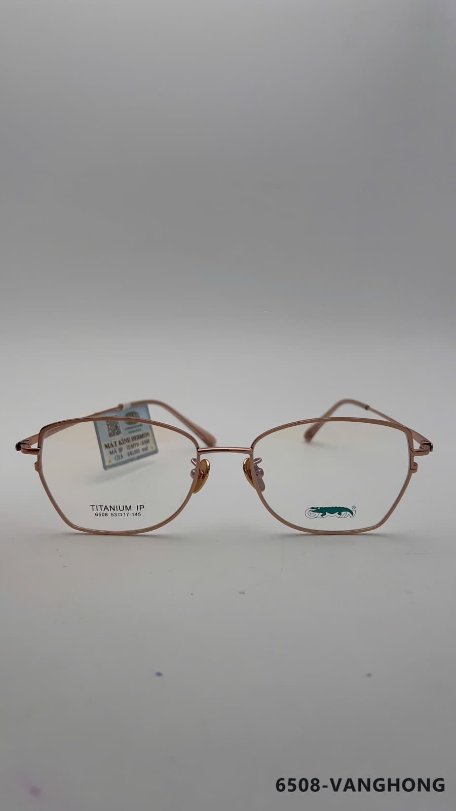 Gọng Mắt mèo Titan Vanghong (6508-VANGHONG)