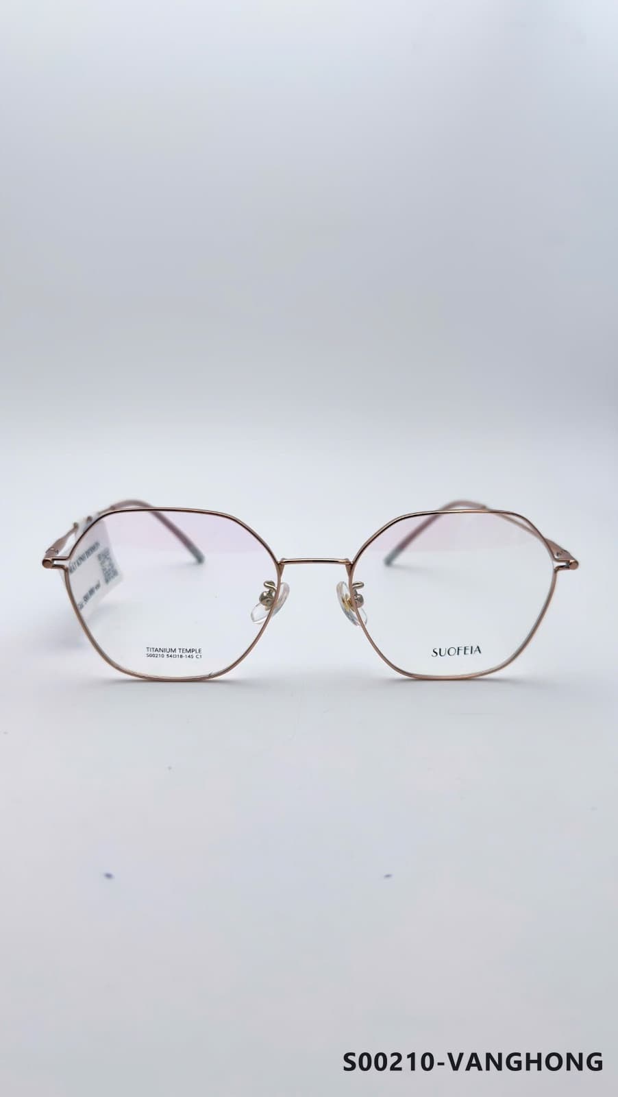 Gọng Đa giác Titan Vanghong (S00210-VANGHONG)