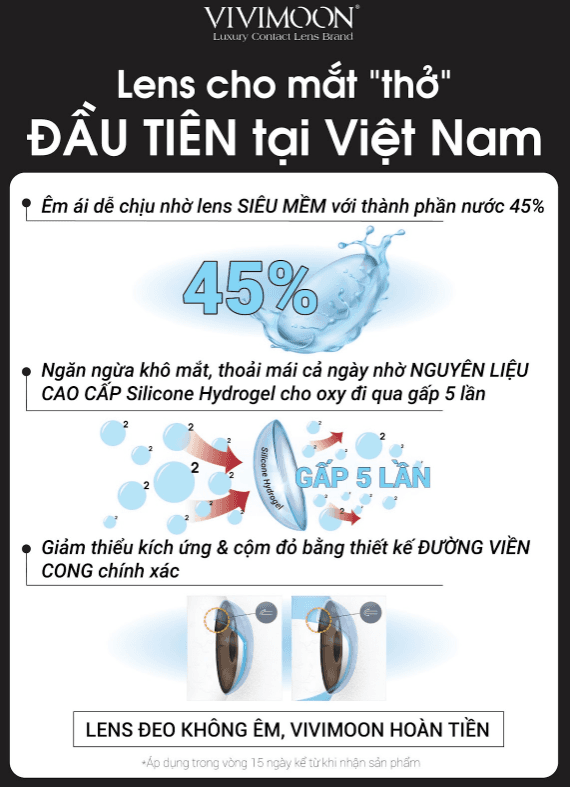Ảnh 4