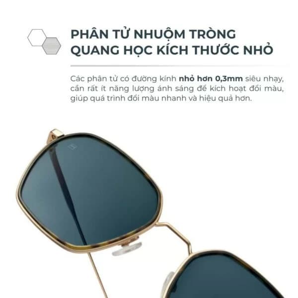 Ảnh 8