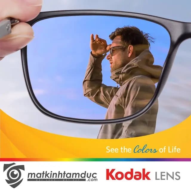 Ảnh 2