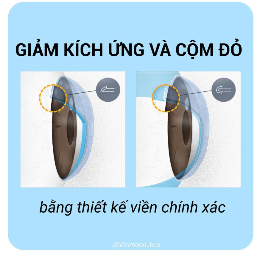Ảnh 4