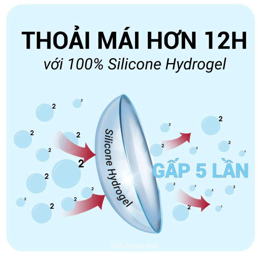Ảnh 5